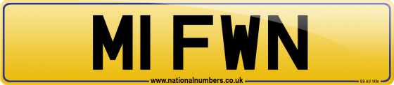 M1 FWN