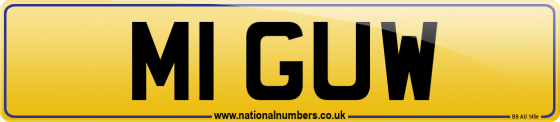 M1 GUW