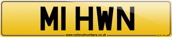 M1 HWN