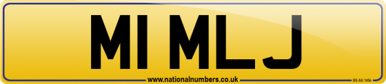 M1 MLJ