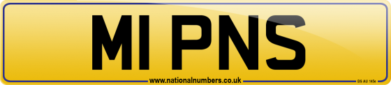 M1 PNS