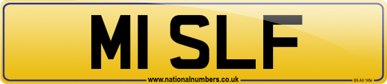 M1 SLF