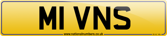 M1 VNS