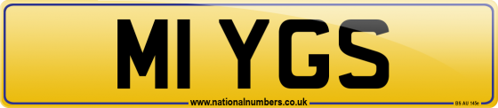 M1 YGS