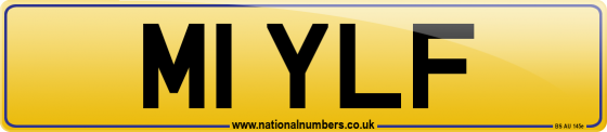 M1 YLF