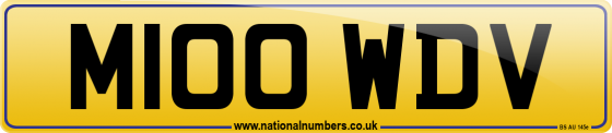 M100 WDV