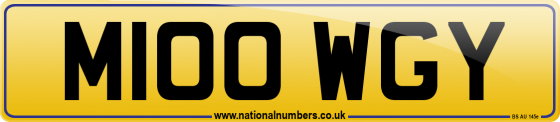 M100 WGY