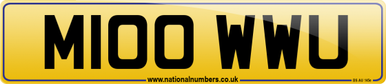 M100 WWU