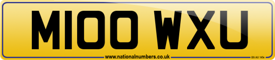M100 WXU