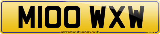 M100 WXW