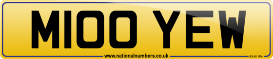 M100 YEW