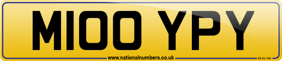 M100 YPY