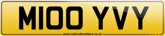 M100 YVY