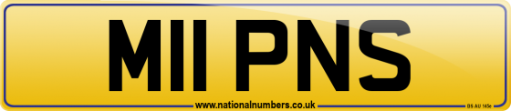M11 PNS