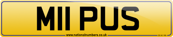 M11 PUS