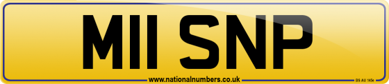 M11 SNP