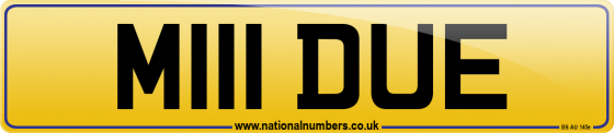 M111 DUE