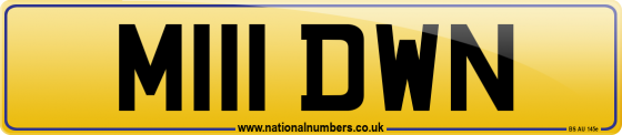 M111 DWN