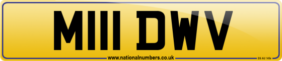 M111 DWV