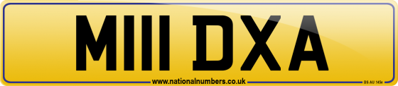 M111 DXA