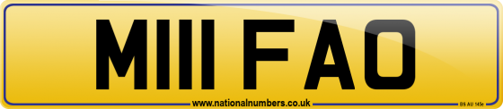 M111 FAO