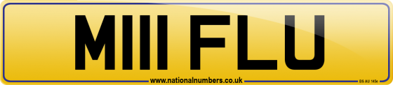 M111 FLU
