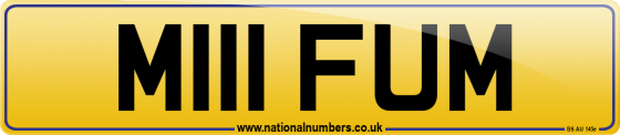 M111 FUM