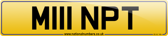 M111 NPT