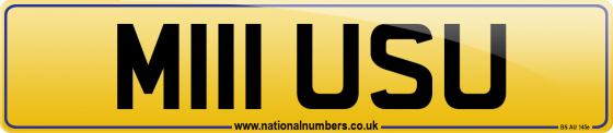 M111 USU