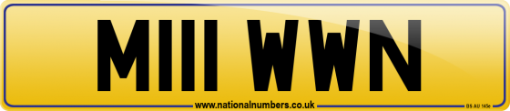 M111 WWN
