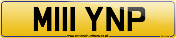 M111 YNP