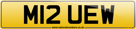 M12 UEW