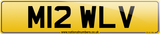 M12 WLV
