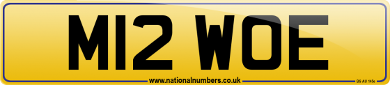 M12 WOE