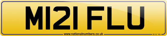 M121 FLU