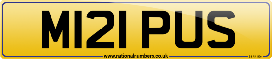M121 PUS