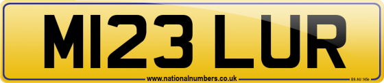 M123 LUR