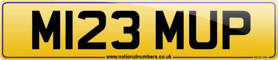 M123 MUP