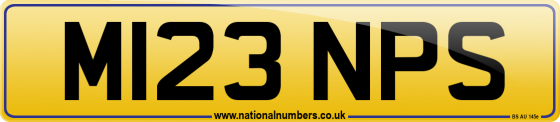 M123 NPS