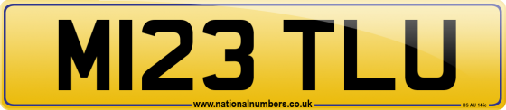 M123 TLU