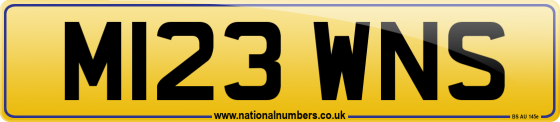 M123 WNS