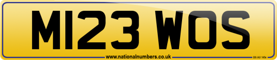 M123 WOS