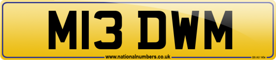 M13 DWM