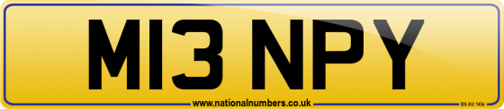 M13 NPY
