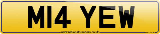 M14 YEW
