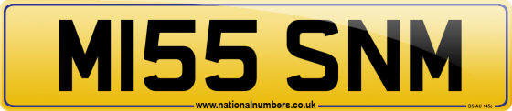 M155 SNM
