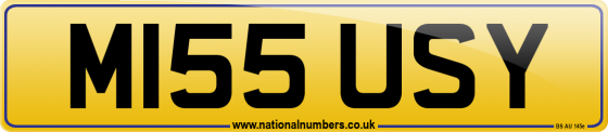 M155 USY