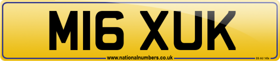M16 XUK