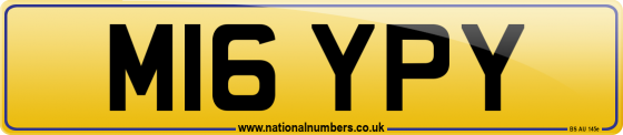 M16 YPY