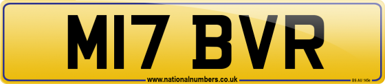 M17 BVR